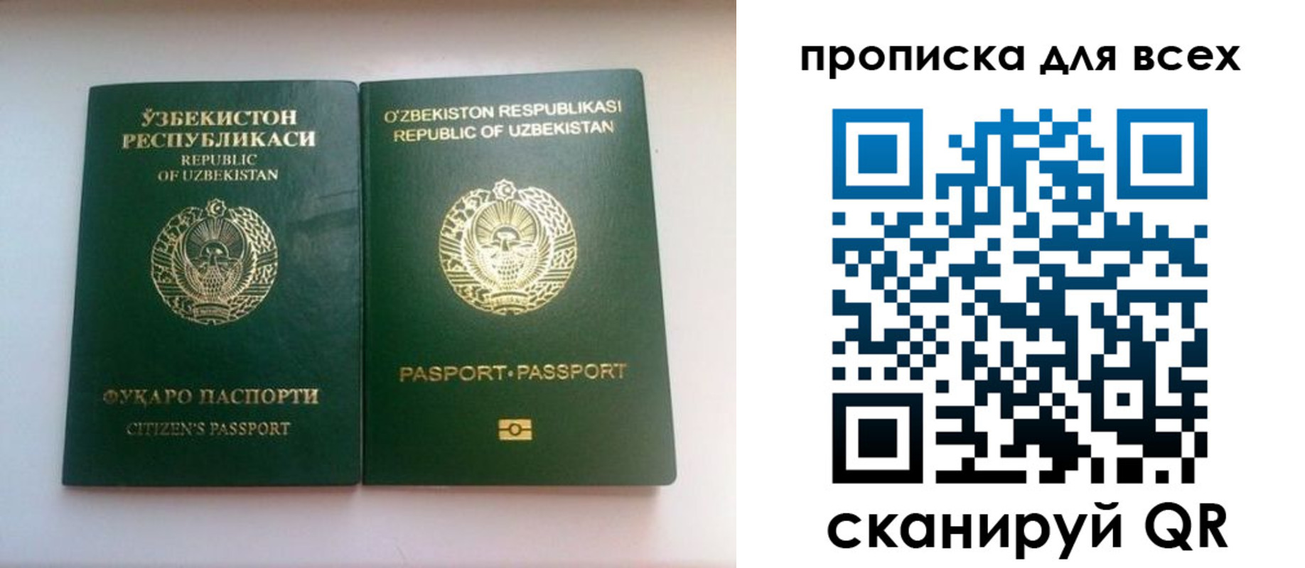 прописка для школы в Краснодарском крае